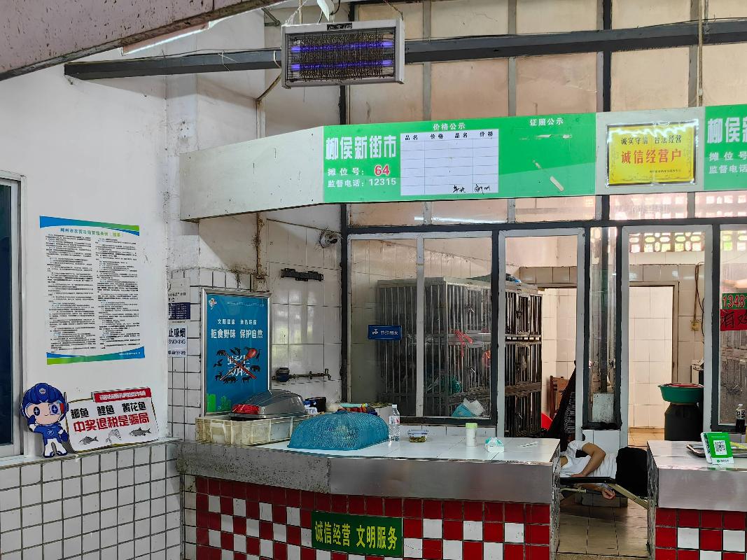 柳州市城中区公园街道弯塘路28号柳候新街市家禽行64号摊位招租项目