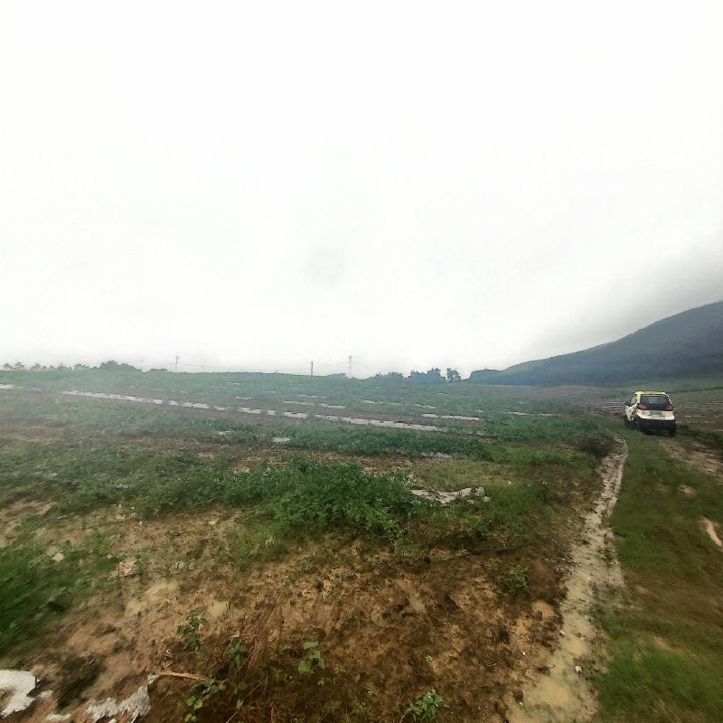 中国安能集团第一工程局有限公司持有的广西柳城县马山乡四塘农场约568.50亩土地使用权招租（15年）项目 交易公告