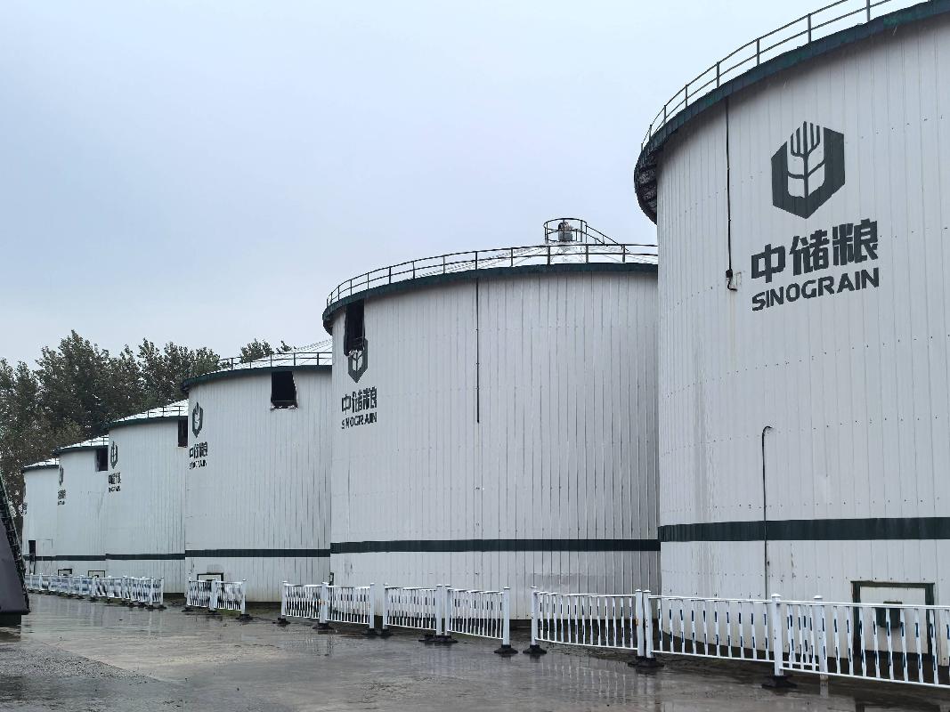 中央储备粮肇州直属库有限公司委60个千吨囤拆除及回收交易公告