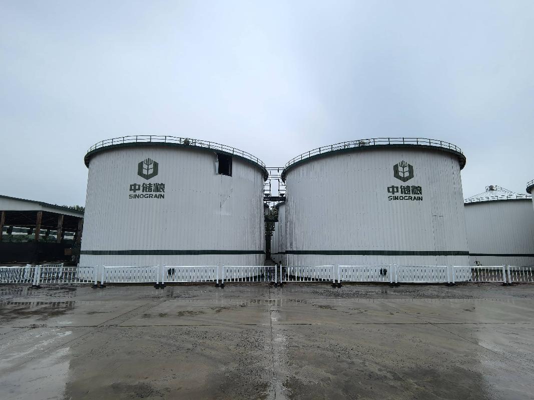 中央储备粮肇州直属库有限公司委60个千吨囤拆除及回收交易公告