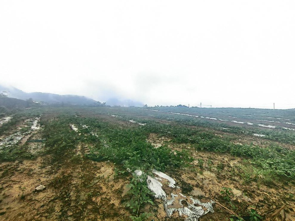 中国安能集团第一工程局有限公司持有的广西柳城县马山乡四塘农场约568.50亩土地使用权招租（15年）项目 交易公告