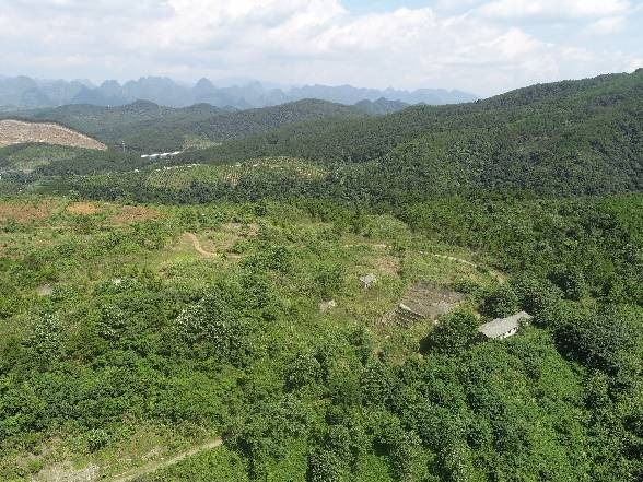 广西桂林市灵川县芦田小流域水土保持碳汇交易项目