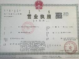 内蒙古赤矿地质技术服务有限责任公司33%国有股权转让(国资监测编号G32024NM1000037)