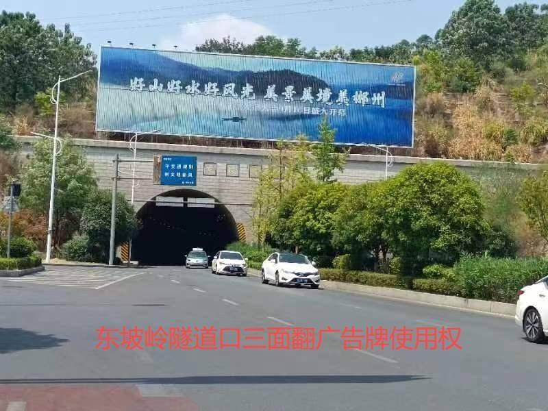郴州市文化旅游发展投资集团有限公司2处广告牌使用权招租