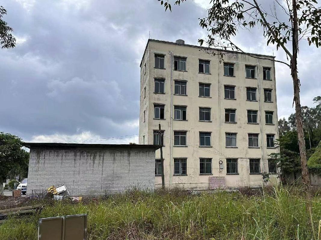 广西壮族自治区博白公路养护中心立石养护站部分房屋招租（3年）项目交易公告