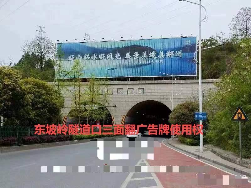 郴州市东坡岭隧道口、高铁西站广告牌使用权招租