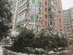 郑州市管城回族区东大街299号中建文苑小区房产及车位使用权转让公告