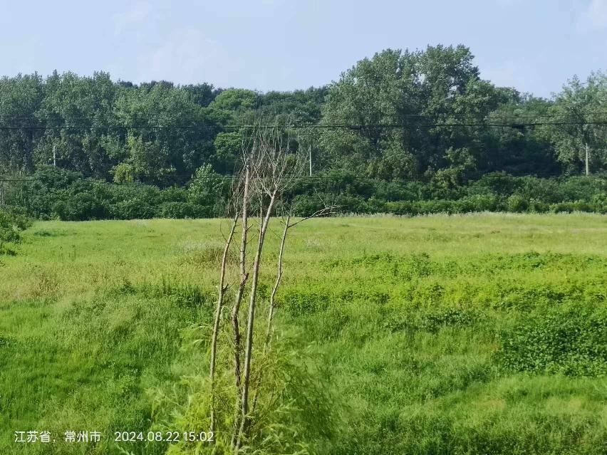小黄山西区云瑞照明东侧流转土地招租公告