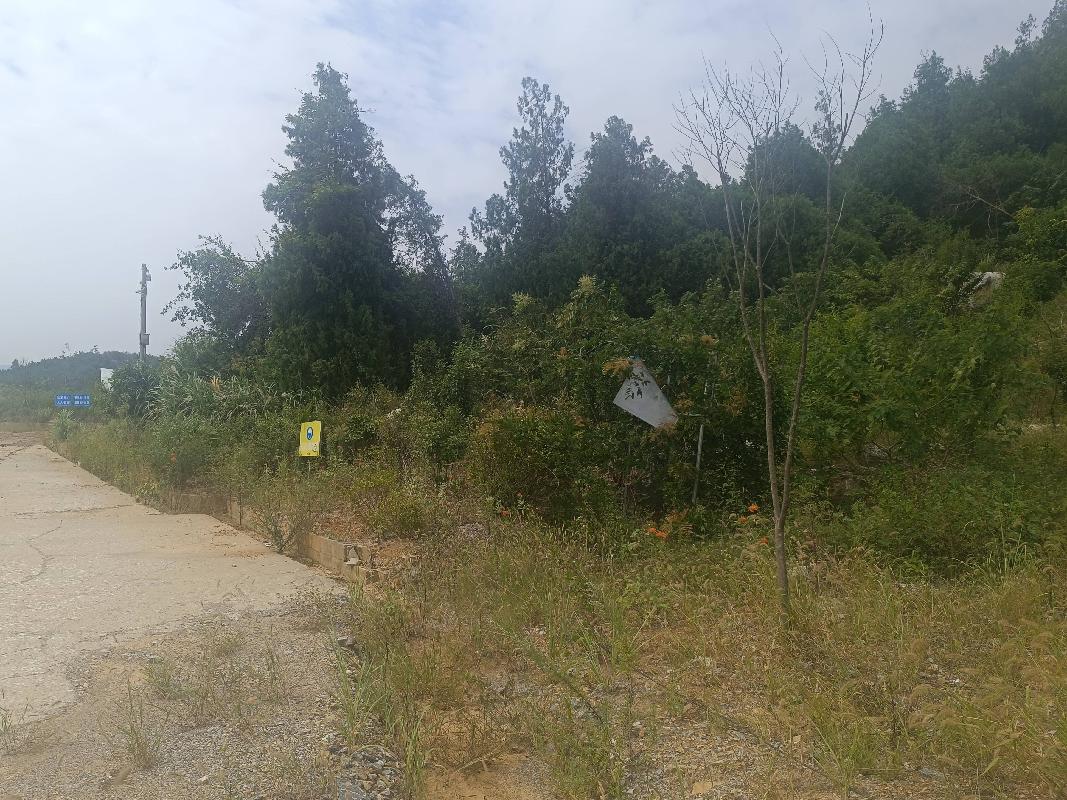 石台县虎山坦矿区及深部熔剂用灰岩矿东侧出矿道路改建工程产生的富余石料资源转让公告（二次降价挂牌）(国资监测编号GR2024AH2003015)