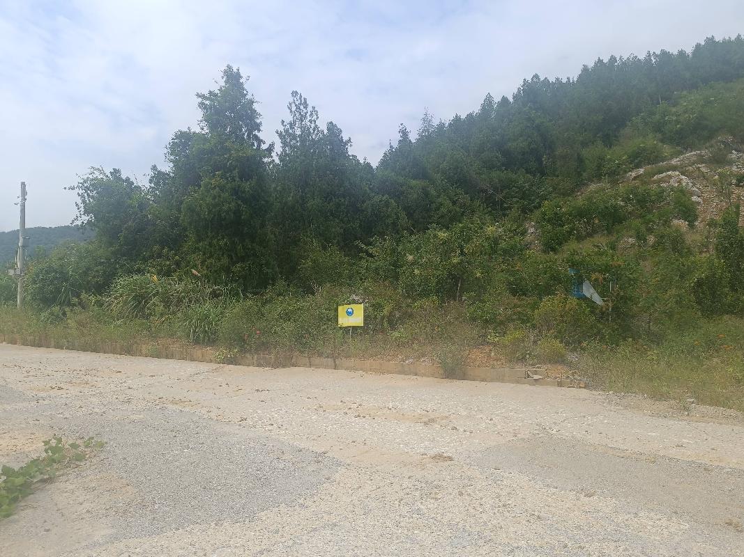 石台县虎山坦矿区及深部熔剂用灰岩矿东侧出矿道路改建工程产生的富余石料资源转让公告（二次降价挂牌）(国资监测编号GR2024AH2003015)