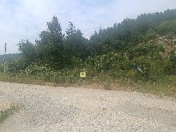 石台县虎山坦矿区及深部熔剂用灰岩矿东侧出矿道路改建工程产生的富余石料资源转让公告（二次降价挂牌）(国资监测编号GR2024AH2003015)
