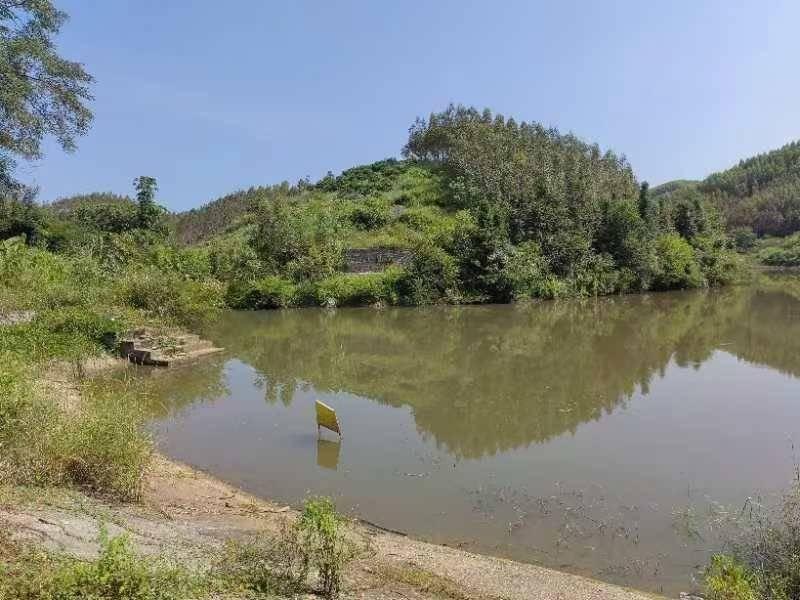 [柳州市]柳州市鹿寨县拉沟乡民主村板盘屯一处约30亩坑塘水面经营权流转项目