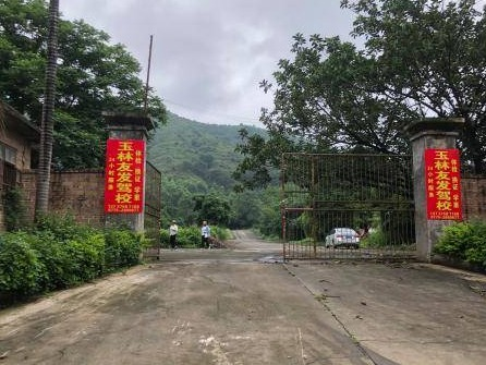 玉林市兴业县玉贵公路北侧45亩土地招租（5年）项目交易公告