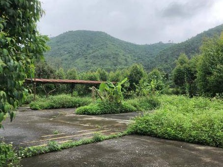 玉林市兴业县玉贵公路北侧45亩土地招租（5年）项目交易公告