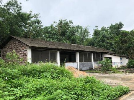 玉林市兴业县玉贵公路北侧45亩土地招租（5年）项目交易公告