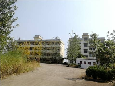 广西桂林市灌阳县工业集中区文市冶炼园D地块工业用地及地上建筑物整体转让项目交易公告(五次挂牌)(国资监测编号GR2024GX2000826-5)