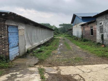 玉林市兴业县玉贵公路北侧60亩土地招租（5年）项目交易公告