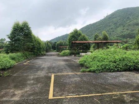 玉林市兴业县玉贵公路北侧45亩土地招租（5年）项目交易公告