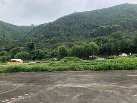 玉林市兴业县玉贵公路北侧45亩土地招租（5年）项目交易公告