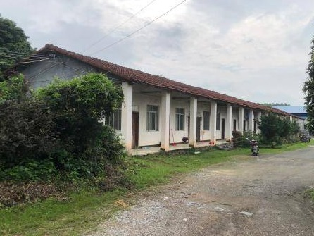 玉林市兴业县玉贵公路北侧60亩土地招租（5年）项目交易公告