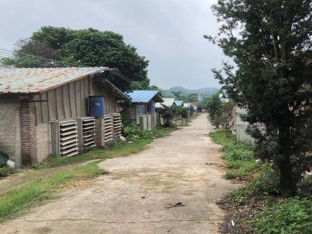 玉林市兴业县玉贵公路北侧60亩土地招租（5年）项目交易公告