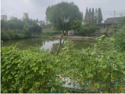 苗圃南场欣宇地块招租公告
