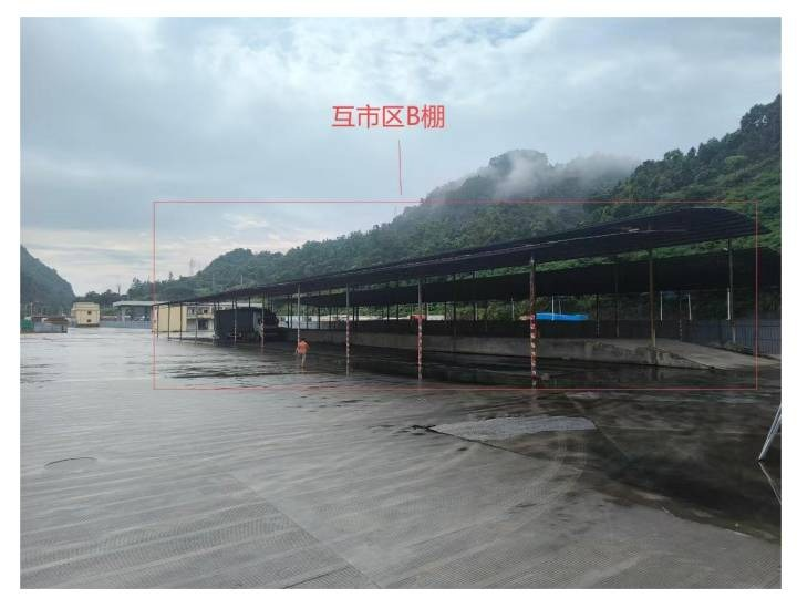 凭祥市国际贸易开发集团有限公司地上建（构）筑物、闲置钢材处置项目(国资监测编号GR2024GX2000833)