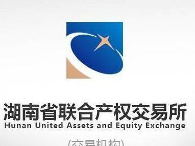 龙山县大新游乐发展有限责任公司等3户债权
