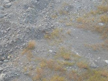 邳州市八义集镇黄山废弃露采矿山生态修复产生的废弃土石料（含废弃石料、碎石和渣土）转让公告(国资监测编号GR2024JS4009849)