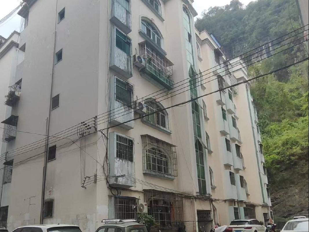天峨县民族路城中小区住房（1套）招租项目交易公告