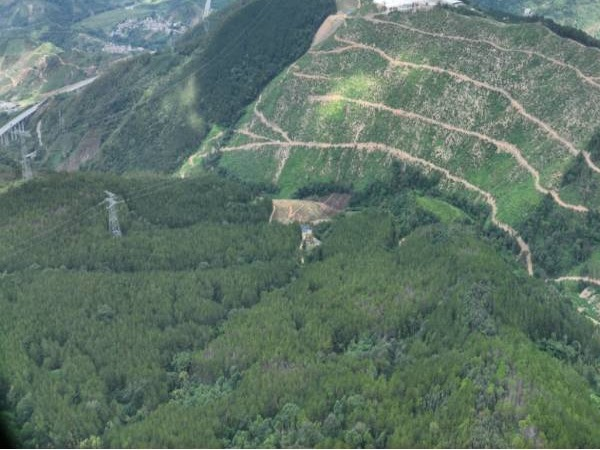 百色市西林县那劳镇斗皇村约827.25亩活立木（包青山）转让项目