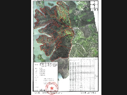 北流市新荣镇新荣村0800、0900林班一批活立木（巨尾桉、大叶相思）转让项目