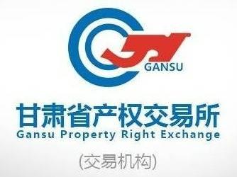 新疆白银矿业开发有限公司拥有的一批报废资产转让项目公告(国资监测编号GR2024GS1001715)