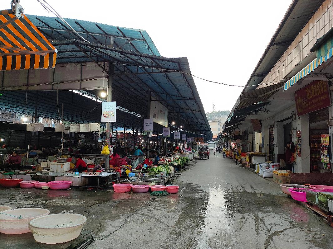 平果市沿江路铝桥市场水产及家禽等摊位地块招租项目交易公告
