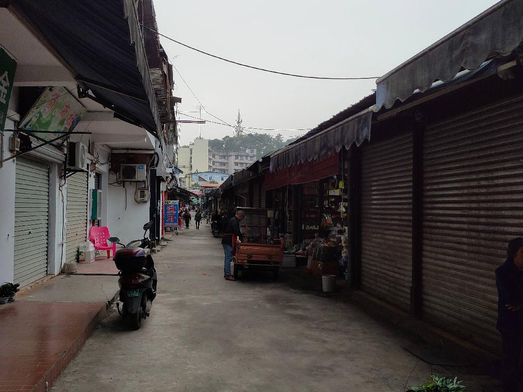 平果市沿江路铝桥市场水产及家禽等摊位地块招租项目交易公告