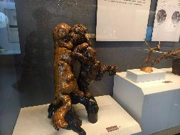 黄山市非物质文化遗产馆80件展品转让公告(国资监测编号GR2024AH2002694)
