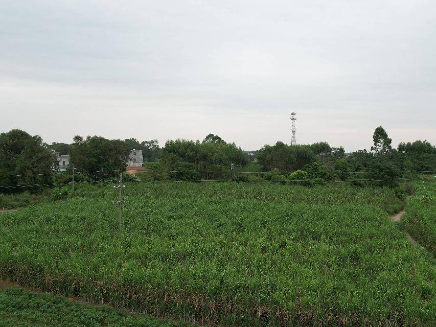 北海市铁山港区南康镇高田村2.68亩土地经营权流转项目