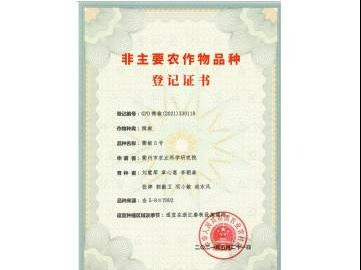 衢椒5号（白辣椒新品种）独占许可公开挂牌转让