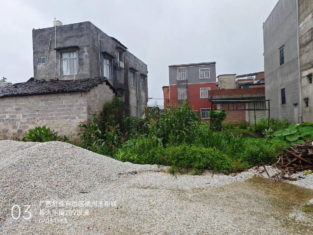 柳城县太平镇太平街985号约5.9亩城镇住宅用地转让项目(国资监测编号GR2024GX2000872)