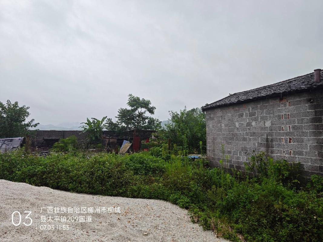 柳城县太平镇太平街985号约5.9亩城镇住宅用地转让项目(国资监测编号GR2024GX2000872)