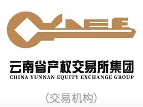 赣州云程信息服务有限公司100%股权(国资监测编号G32024YN1000085)