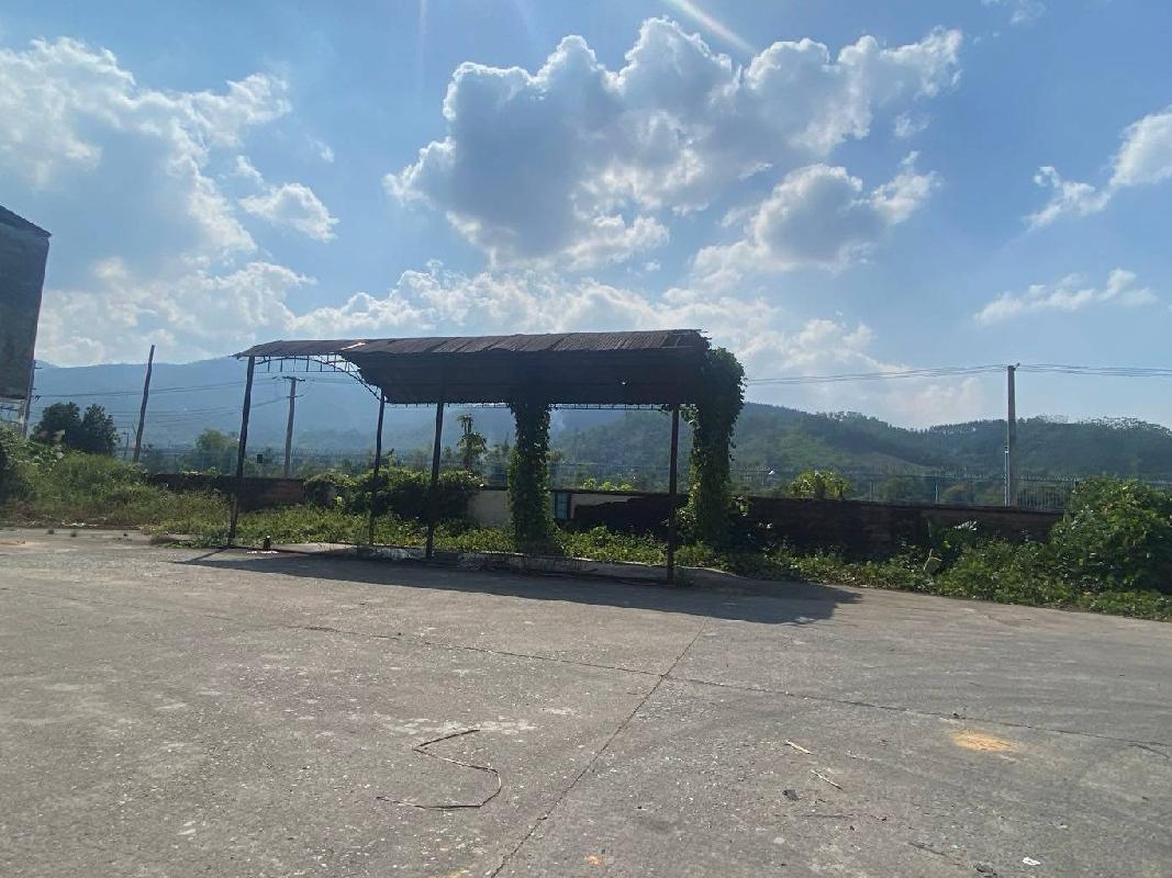 防城港市防城区峒中镇土地及地上建筑物整体招租（5年）项目交易公告