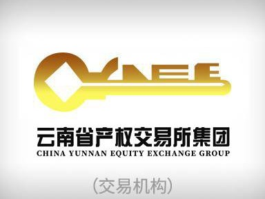 自贡市瑞安民用爆破器材有限公司18％股权