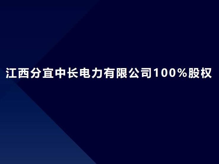 江西分宜中长电力有限公司100%股权(国资监测编号G32023SZ1000109-2)