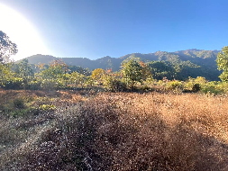 黟县桃花源生态基础设施建设有限公司所属40,834平方米土地使用权转让公告(国资监测编号GR2024AH2002887)
