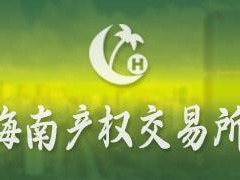 海南联合股权投资基金管理有限公司0.6%股权转让(国资监测编号G32024HI1000033)