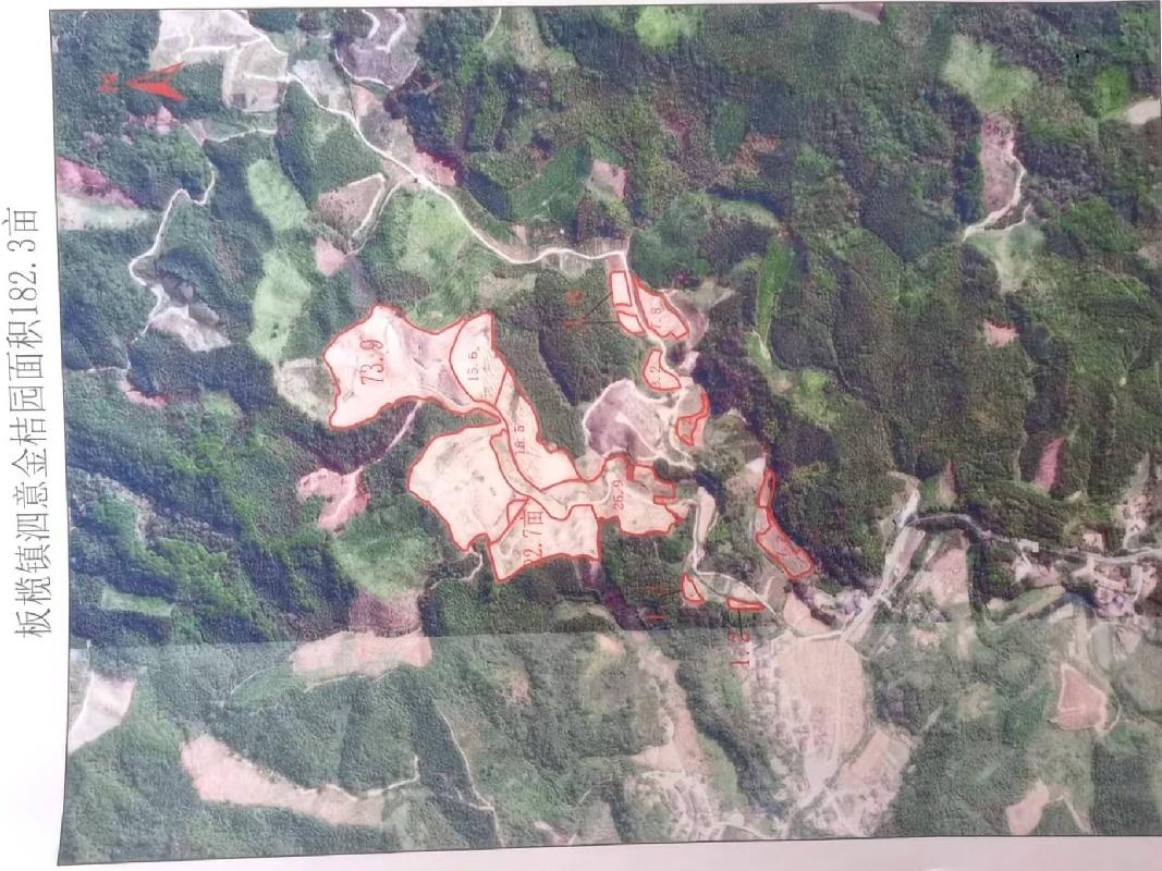 柳州市融安县板榄镇泗意屯182亩脆蜜金桔园土地经营权及地面附作物转包项目