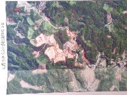 柳州市融安县板榄镇泗意屯182亩脆蜜金桔园土地经营权及地面附作物转包项目