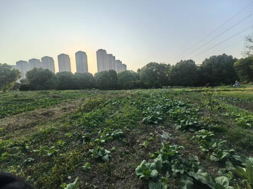 常州市北塘河以南、东经120路以西、北塘河路以北、城建档案馆以东金融商务区地块招租公告