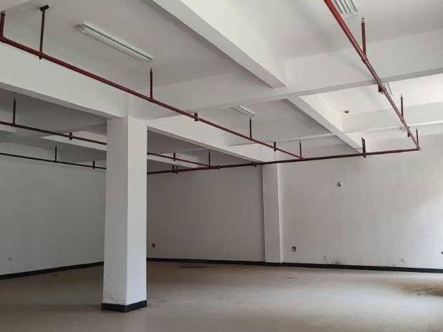 梧州学院教师公租房地面3间铺面招租（3年）项目
